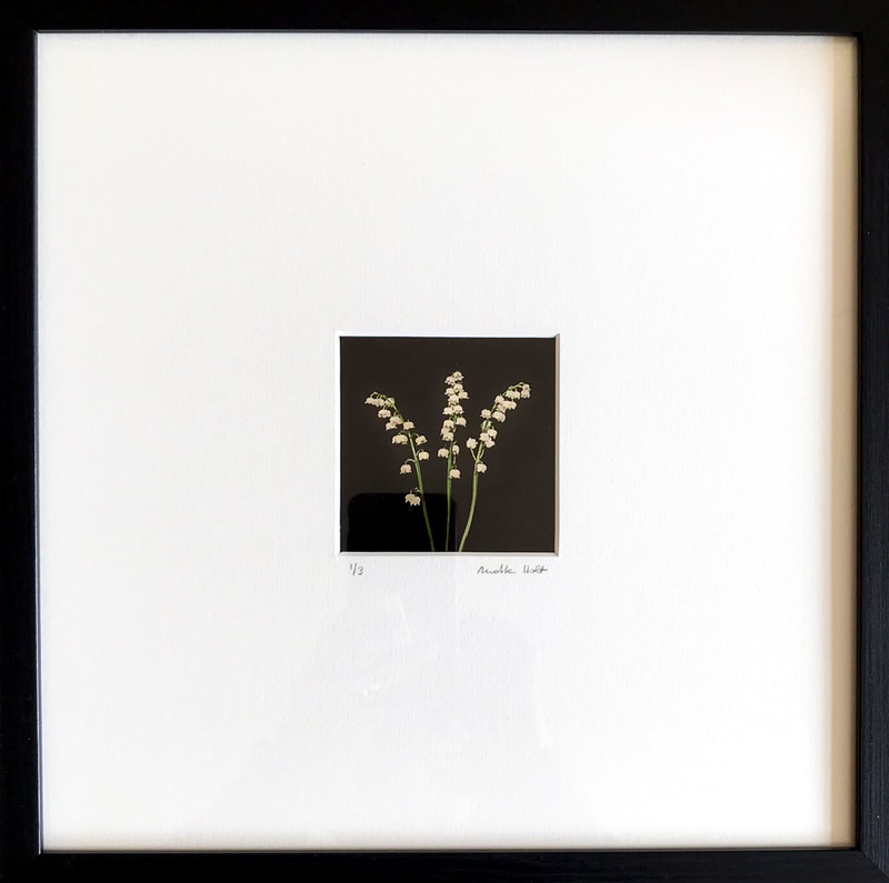 Lily of the Valley II - Materials: acetate, silver leaf. Framed.